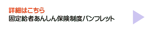 ご参考：固定給者あんしん保険制度パンフレット